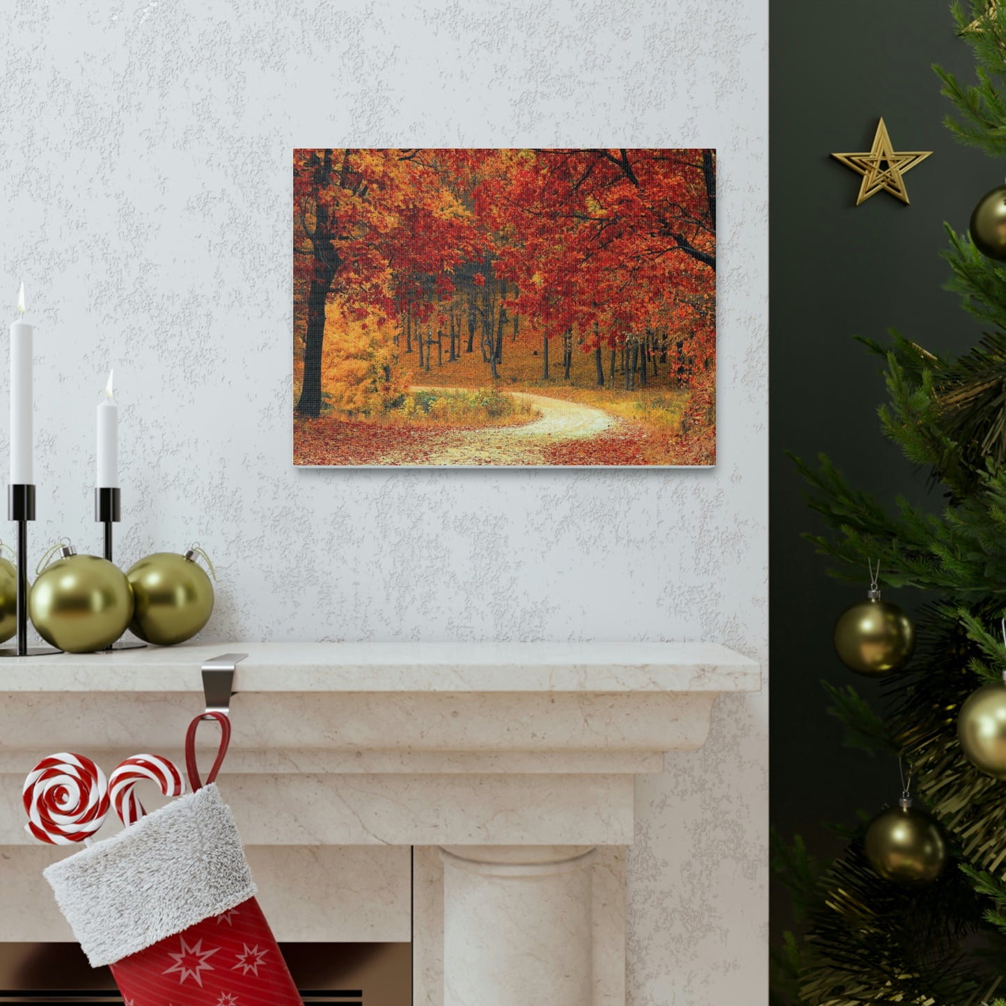 Fall Tree Path Canvas