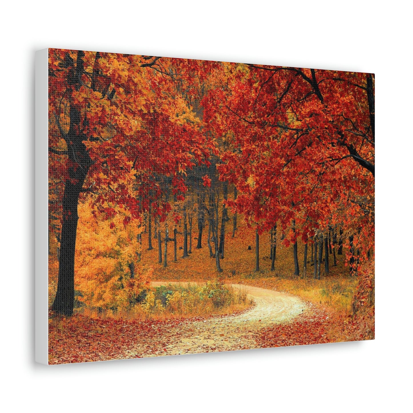 Fall Tree Path Canvas