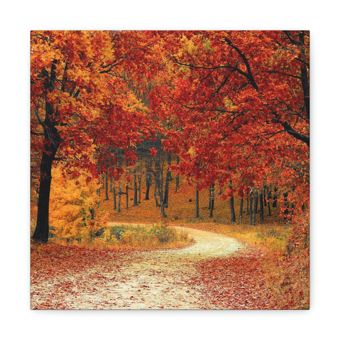 Fall Tree Path Canvas