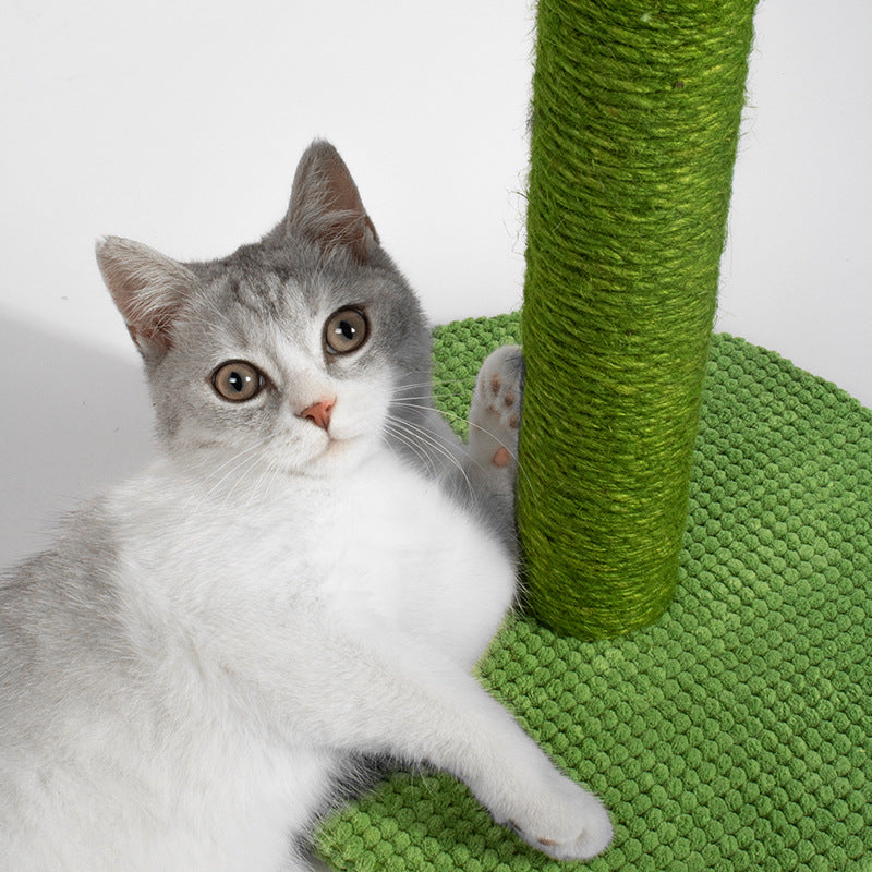 Desert Cat Scratching Post