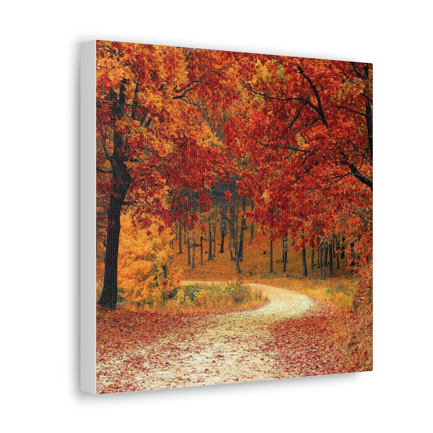 Fall Tree Path Canvas