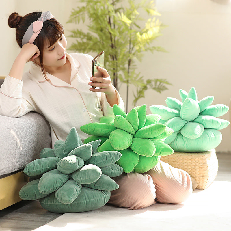 Succulent Plush