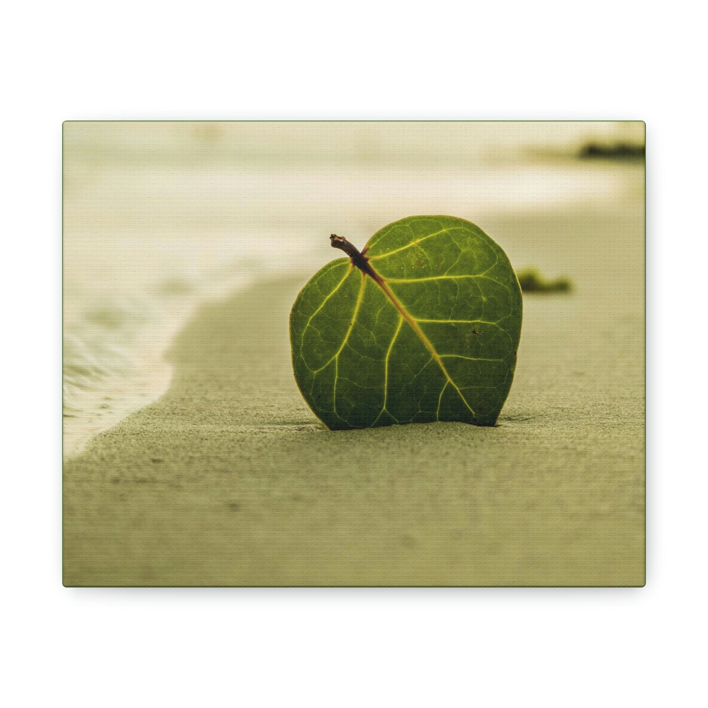 Leaf Me at the Beach