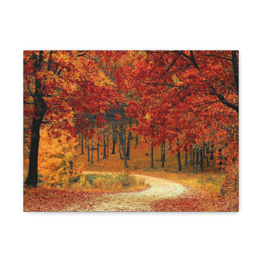 Fall Tree Path Canvas