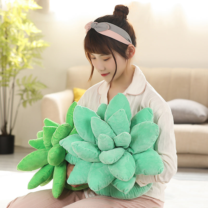 Succulent Plush